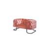 fot.new ch.salmon p.negru